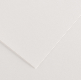 Foglio colorline 70x100 cm 220 gr. 01 bianco